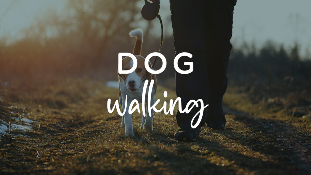 Big Christmas Dog Walk