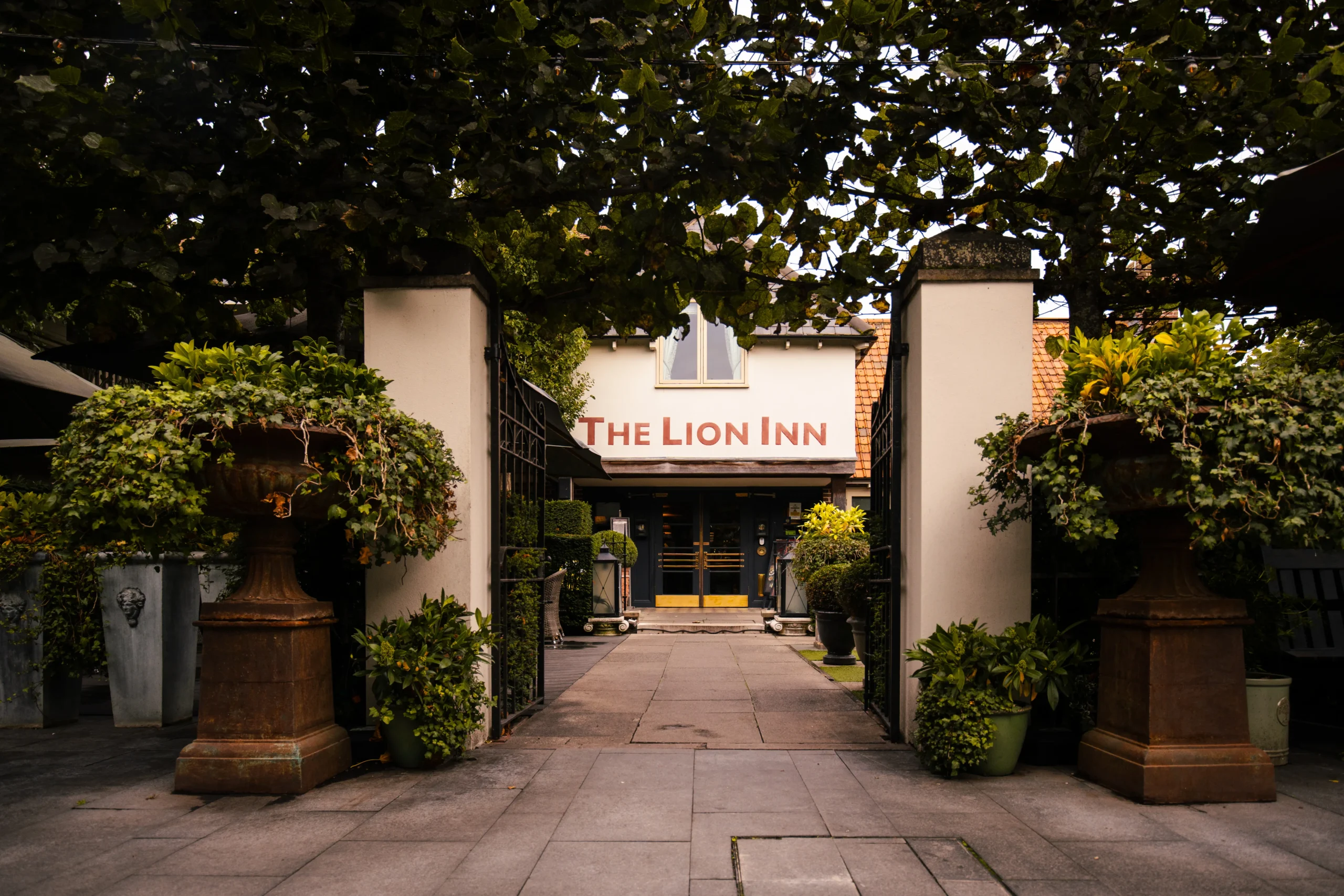 Lion – Boreham