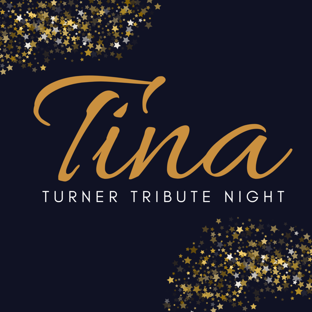 Tina Turner Tribute Night