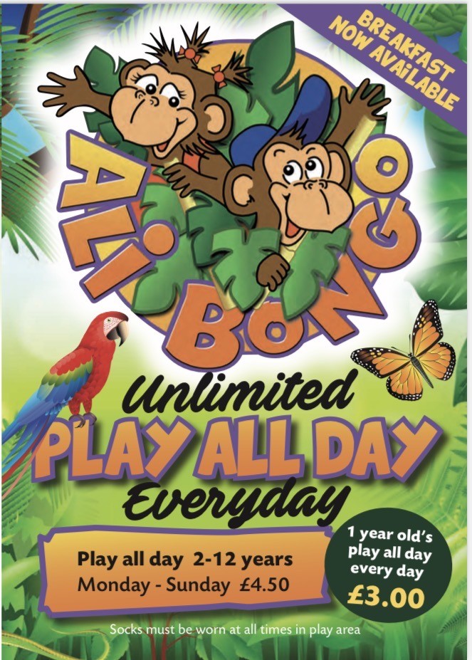 Ali Bongo – Indoor Play Area